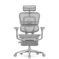 Кресло с подножкой FALTO Ergohuman 2 Luxury (SmartWork, алюминий, наклон вперед, сетка, серый)