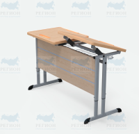 Стол ученический двухместный ДН-25/2