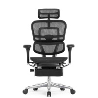 Кресло с подножкой FALTO Ergohuman 2 Elite 2 (алюминий, наклон вперед, сетка, черный)