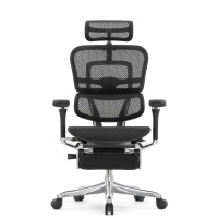 Кресло с подножкой FALTO Ergohuman 2 Luxury (SmartWork, алюминий, наклон вперед, сетка, черный)