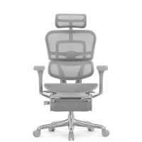 Кресло с подножкой FALTO Ergohuman 2 Elite (алюминий, наклон вперед, сетка, серый)