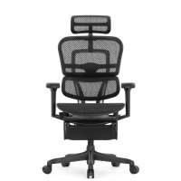 Кресло с подножкой FALTO Ergohuman 2 Ultra (наклон вперед, сетка, серый)