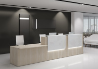 Ресепшн LOUNGE шамони светлый Ресепшн LOUNGE шамони светлый