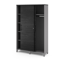 Шкаф-купе гардероб Kobor HKG/5-120/60/M aluminum/wood