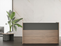 Ресепшн Dali орех антрацит Ресепшн Dali орех антрацит