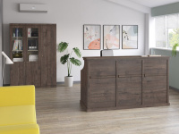 Ресепшн Bern дуб апрельский Ресепшн Bern дуб апрельский