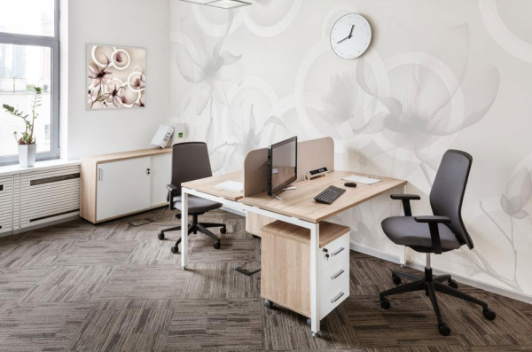 Мебель для персонала TOUR Дуб Калифорния