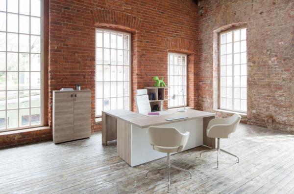 Кабинет руководителя TERRA Мали