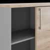 Шкаф-купе Kobor HK/2-120/40/M aluminum/natural