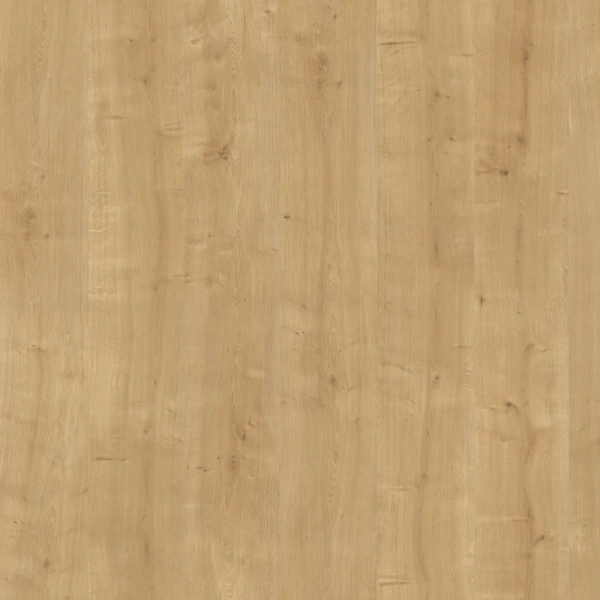 Кабинет руководителя FORTA Дуб гамильтон