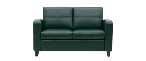 Диван двухместный с подлокотниками Босс