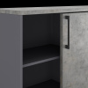 Шкаф-купе Kobor HK/3-120/40/M graphite/chicago