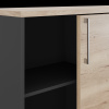 Шкаф-купе Kobor HK/2-120/40/M black/natural Шкаф-купе Kobor HK/2-120/40/M black/natural