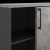 Шкаф-купе Kobor HK/2-120/40/M black/chicago